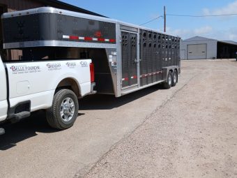 2026 WILSON GN STOCK 7X24