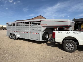 2026 CIRLCE D GN STOCK 6’8″X24