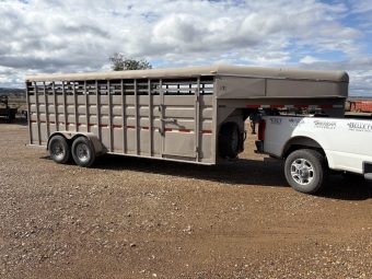 2006 CIRCLE D GN STOCK 6’8″X20
