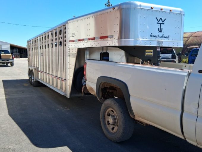 2027 WILSON GN STOCK 7X26 2027 WILSON GN STOCK 7X26